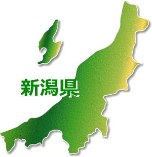 新潟県 長年の信頼と実績パソコン修理やデータ復旧の専門業者